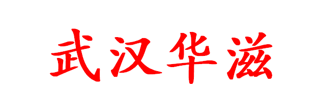 武汉华滋_logo