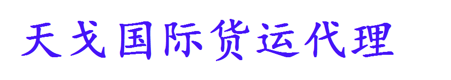上海天戈国际货运代理_logo