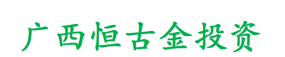 广西恒古金投资_logo